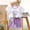 Children's short-sleeved set, summer pure cotton boys' clothes, thin new girls' T-shirts, summer clothes, baby children's clothing Application Scenario